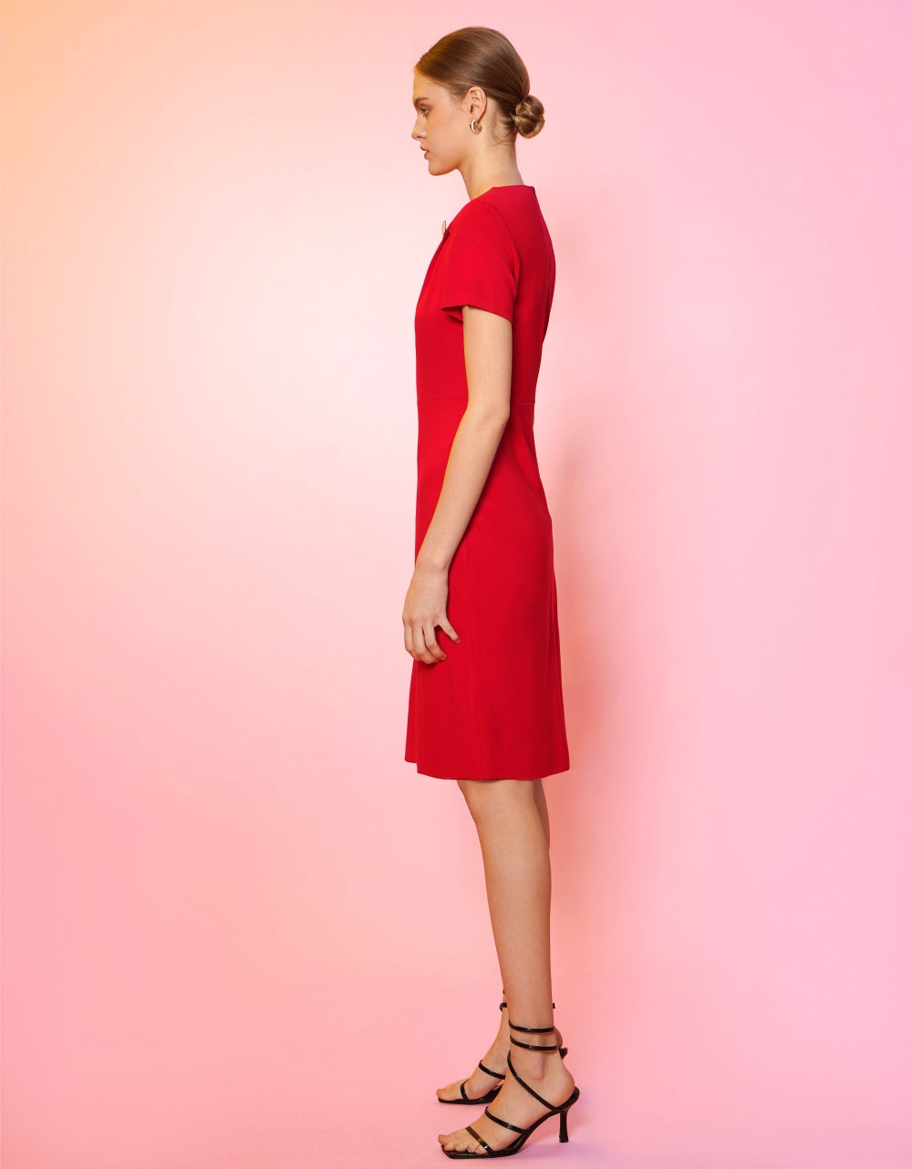 red(a19031)