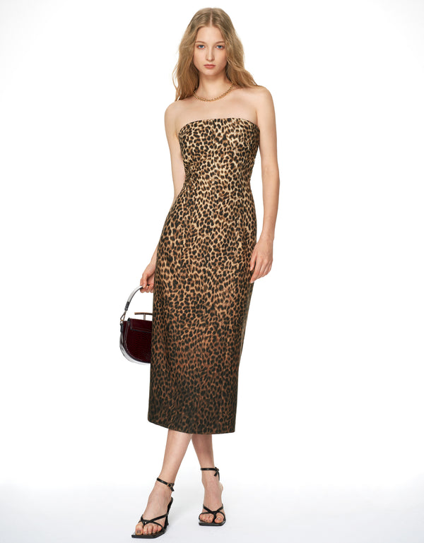 Animal Print Bandeau Dress