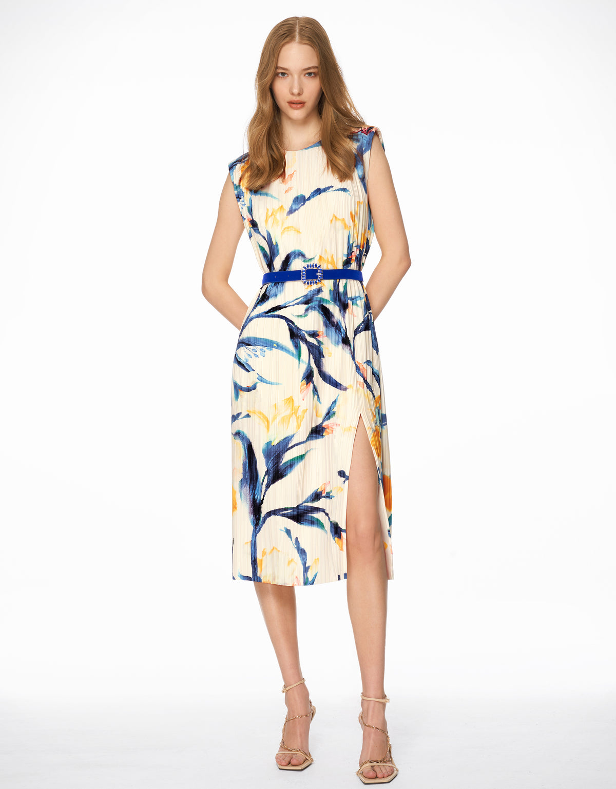 Botanical Print Pleated Dress