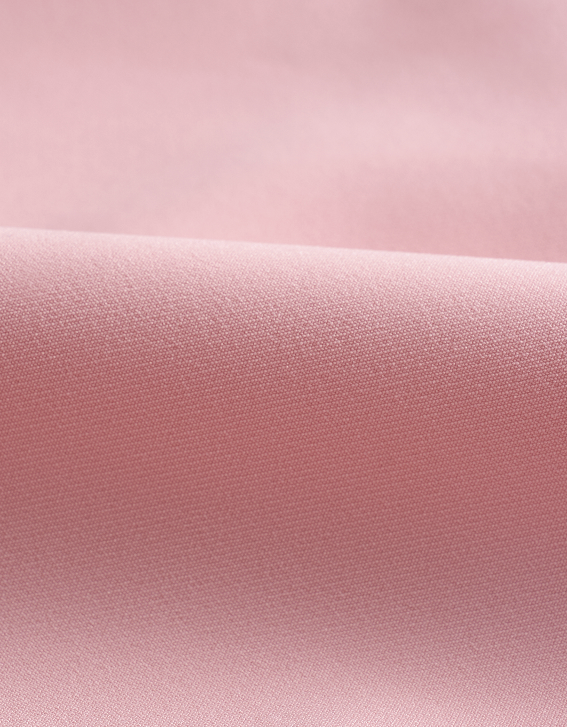 pink & white(a26758)