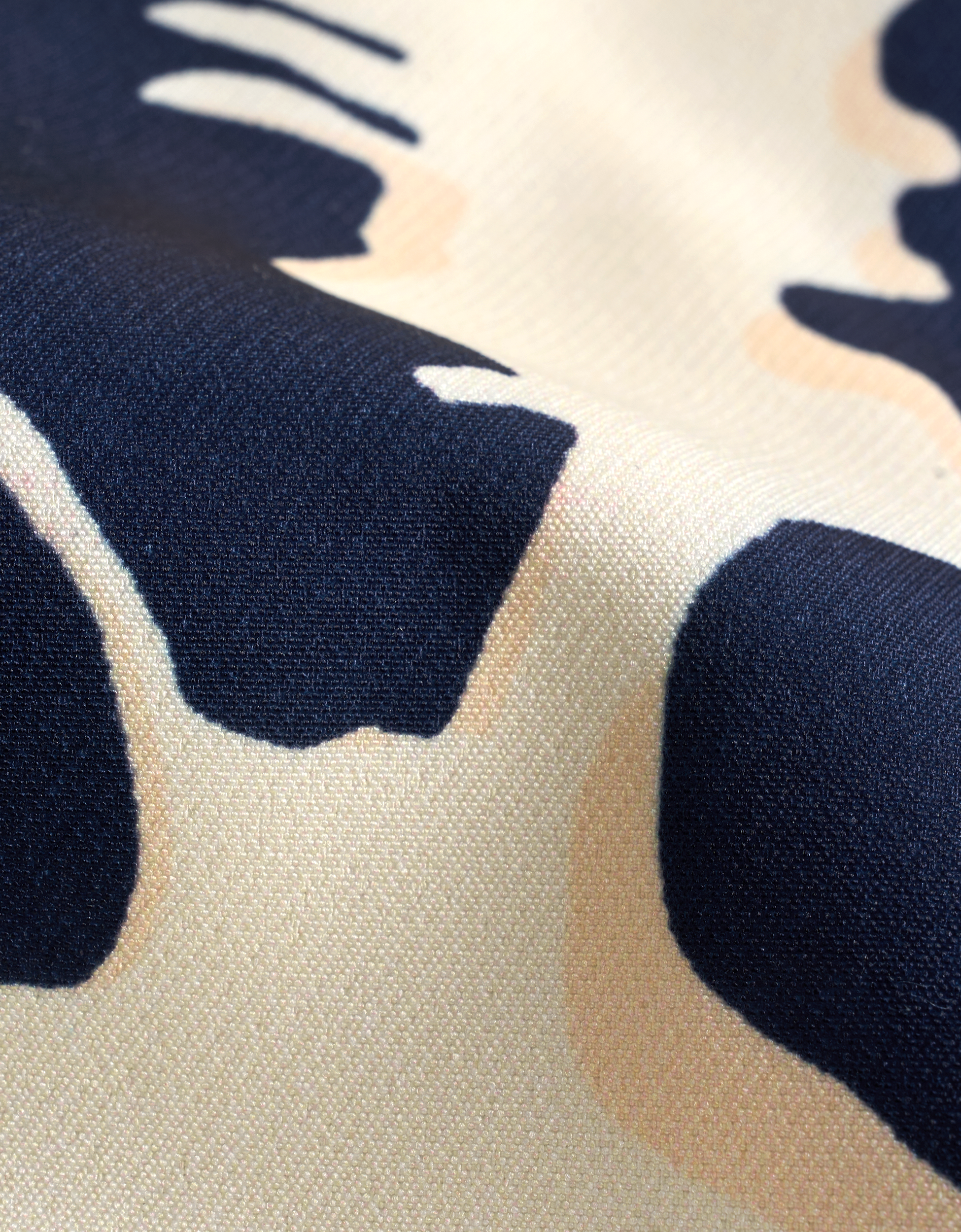 apricot & navy(a30221)
