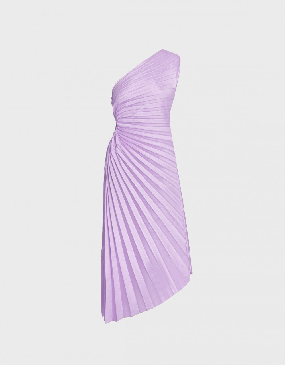 purple(a19639)