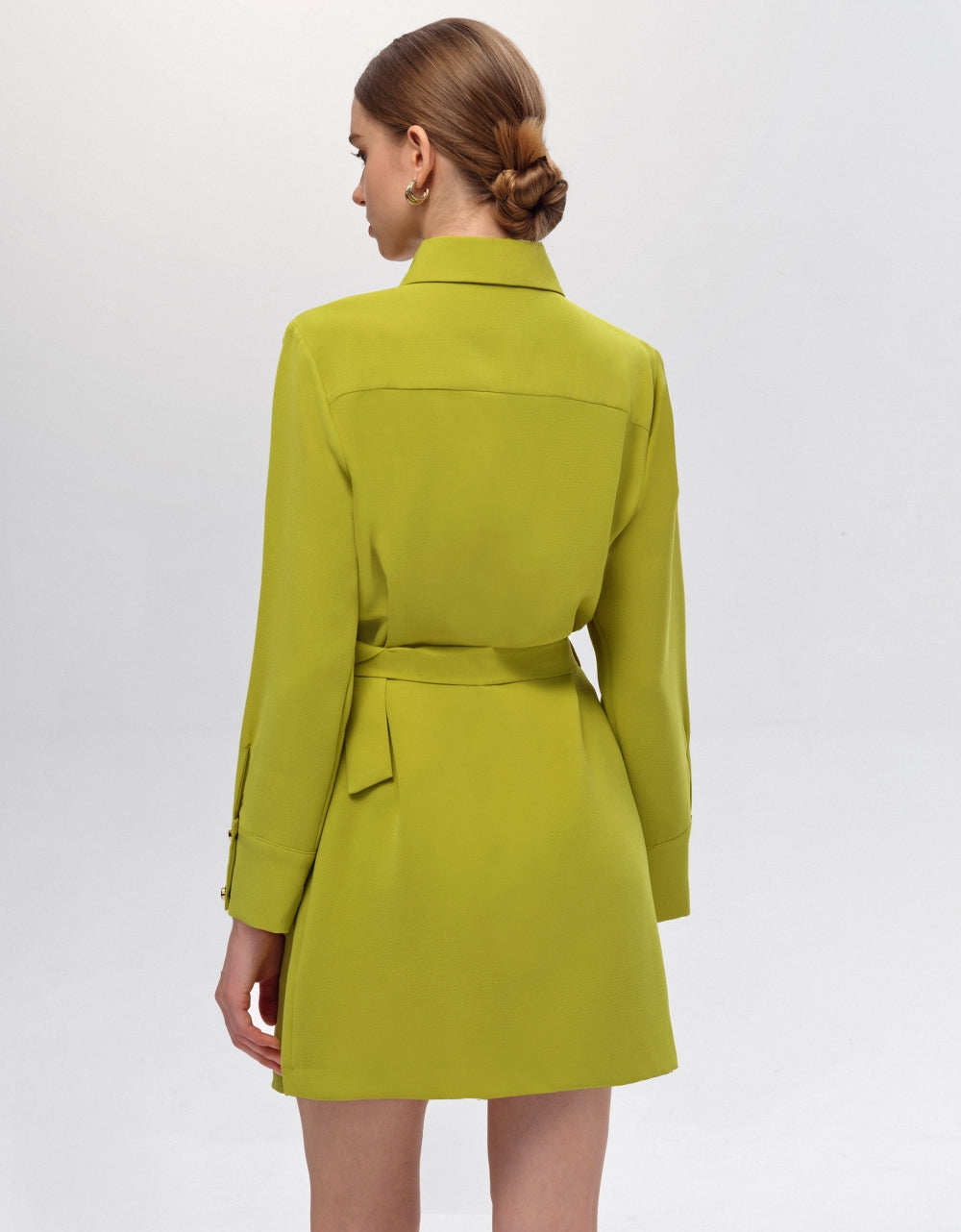 olive green(a19734)